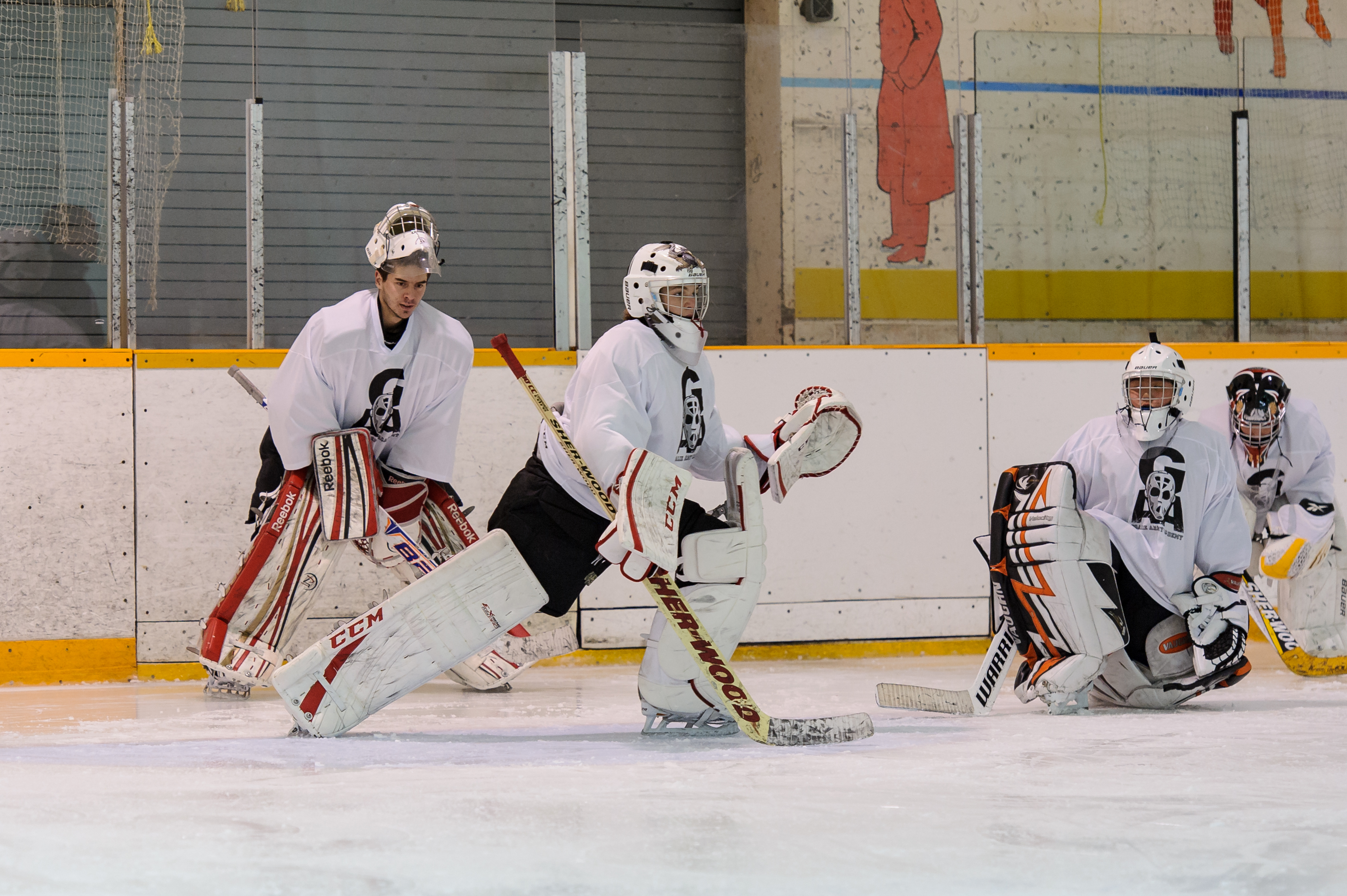 31 15 Minute Hockey summer workout program for ABS